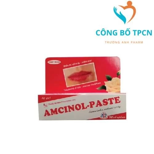 Amcinol - Paste Mekophar - Thuốc điều trị nám da